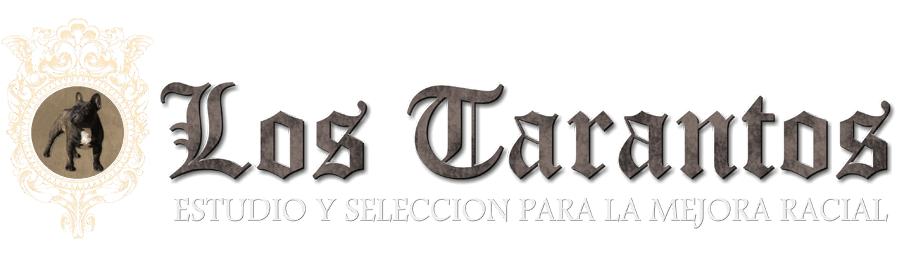 Los Tarantos